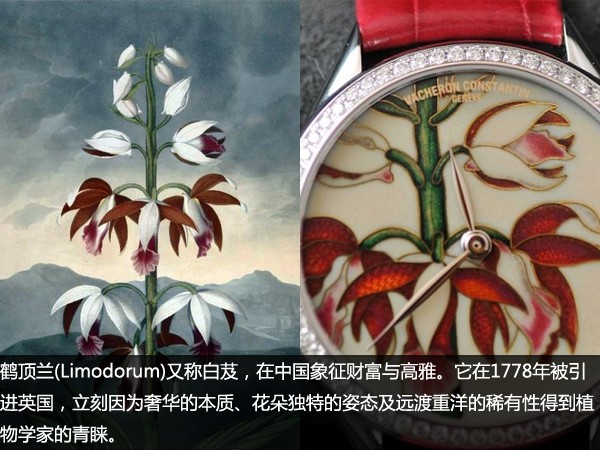 如挂角：腕间繁花 品鉴江诗丹顿艺术大师“花之神殿”系列腕表