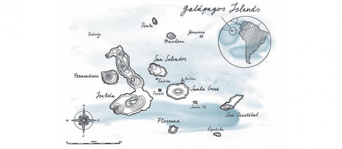 水中青铜器 品评万国“达尔文探险之旅”纪念版腕表
