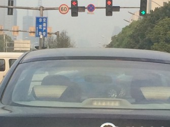 拥攬轨道面5396R