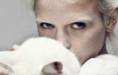 女人和猫竟然有关系? 猫眼系列揭秘女人的性格