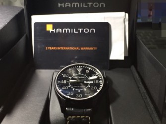情解HAMILTON大飞 终解毒
