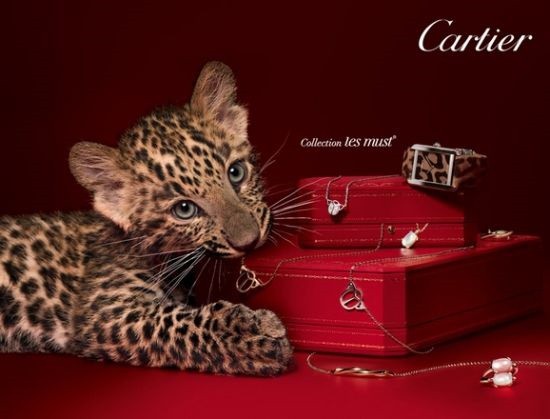 Cartier是什么意思，卡地亚是什么品牌