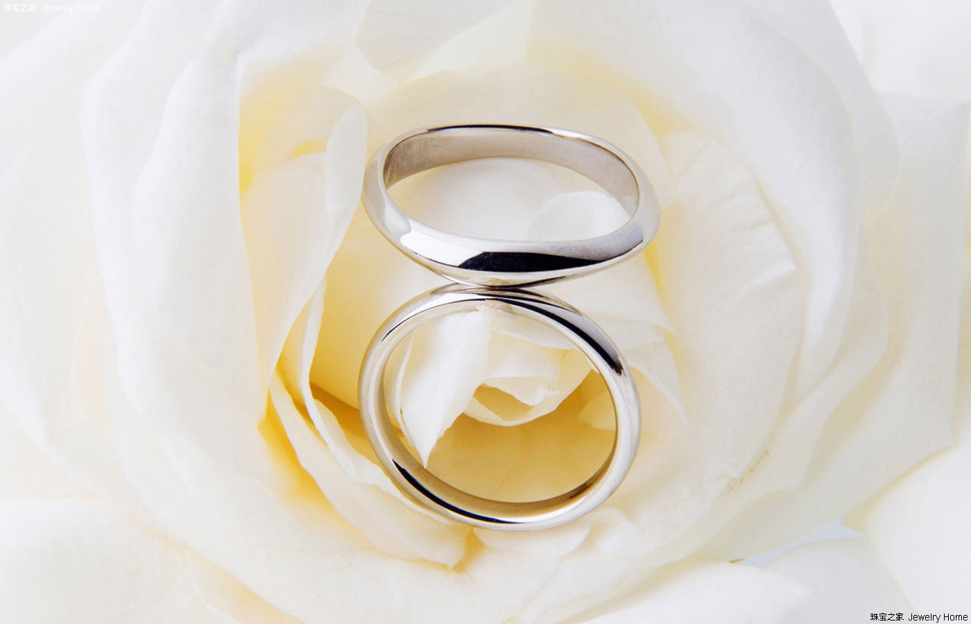 结婚必知常识 结婚戒指该戴哪只手，结婚戒指该戴哪个手指