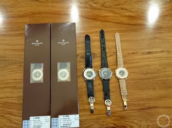 太任性 五只百达翡丽世界时