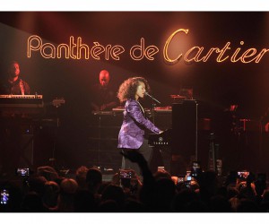 群星璀璨 魅惑风姿 Panthère de Cartier卡地亚猎豹腕表摩登派对