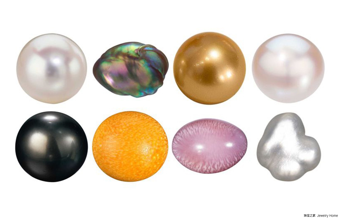 御木本珠宝 今天讲20个你可能没听过的珍珠知识点  珍珠的不同种类