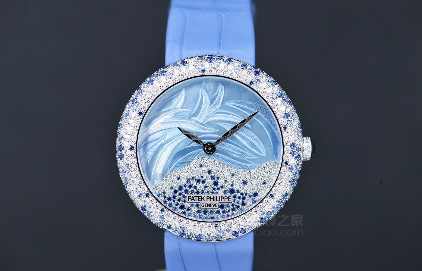 腕表上的蓝色羽毛 品鉴百达翡丽CALATRAVA系列高级珠宝腕表