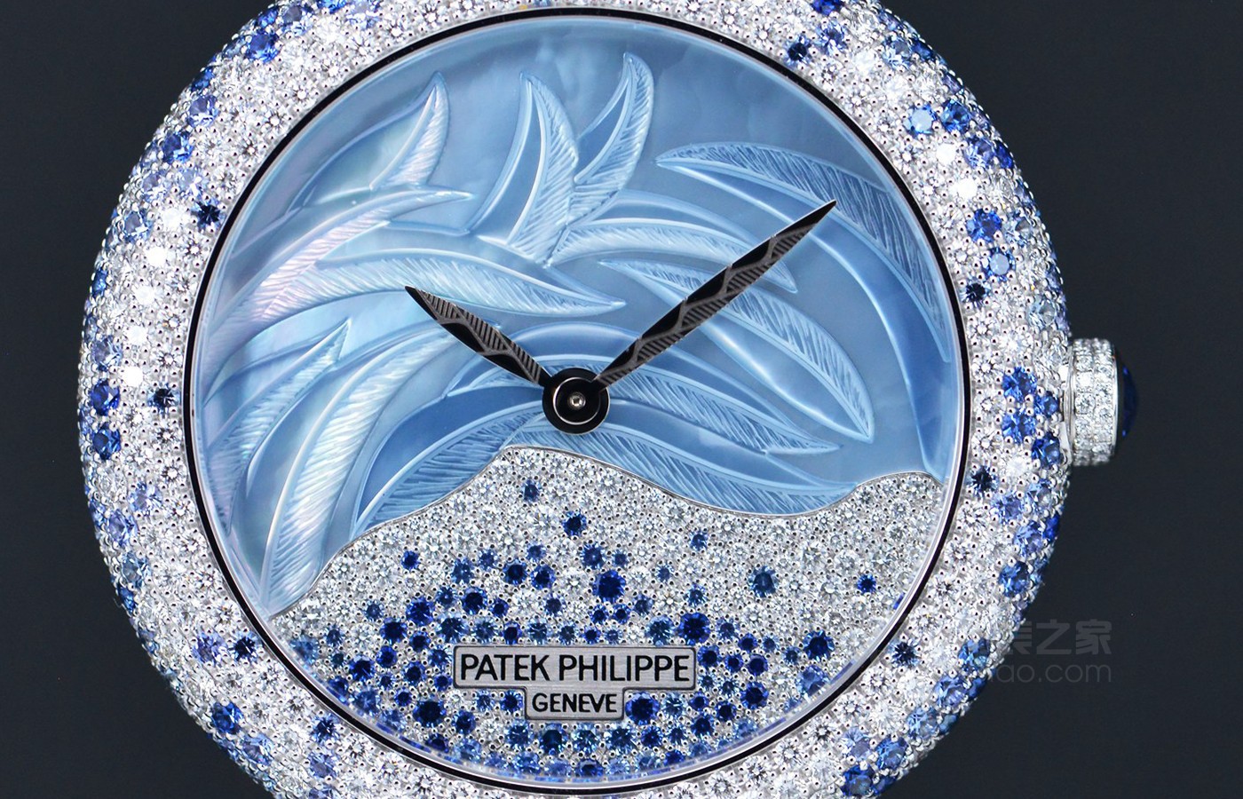 腕表上的蓝色羽毛 品鉴百达翡丽CALATRAVA系列高级珠宝腕表