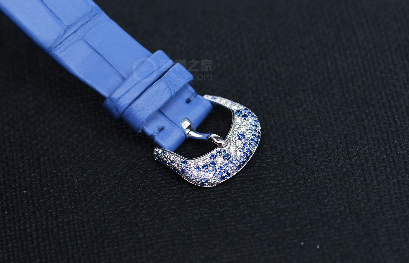腕表里的蓝色翎毛 品评百达翡丽CALATRAVA系列产品奢华珠宝腕表