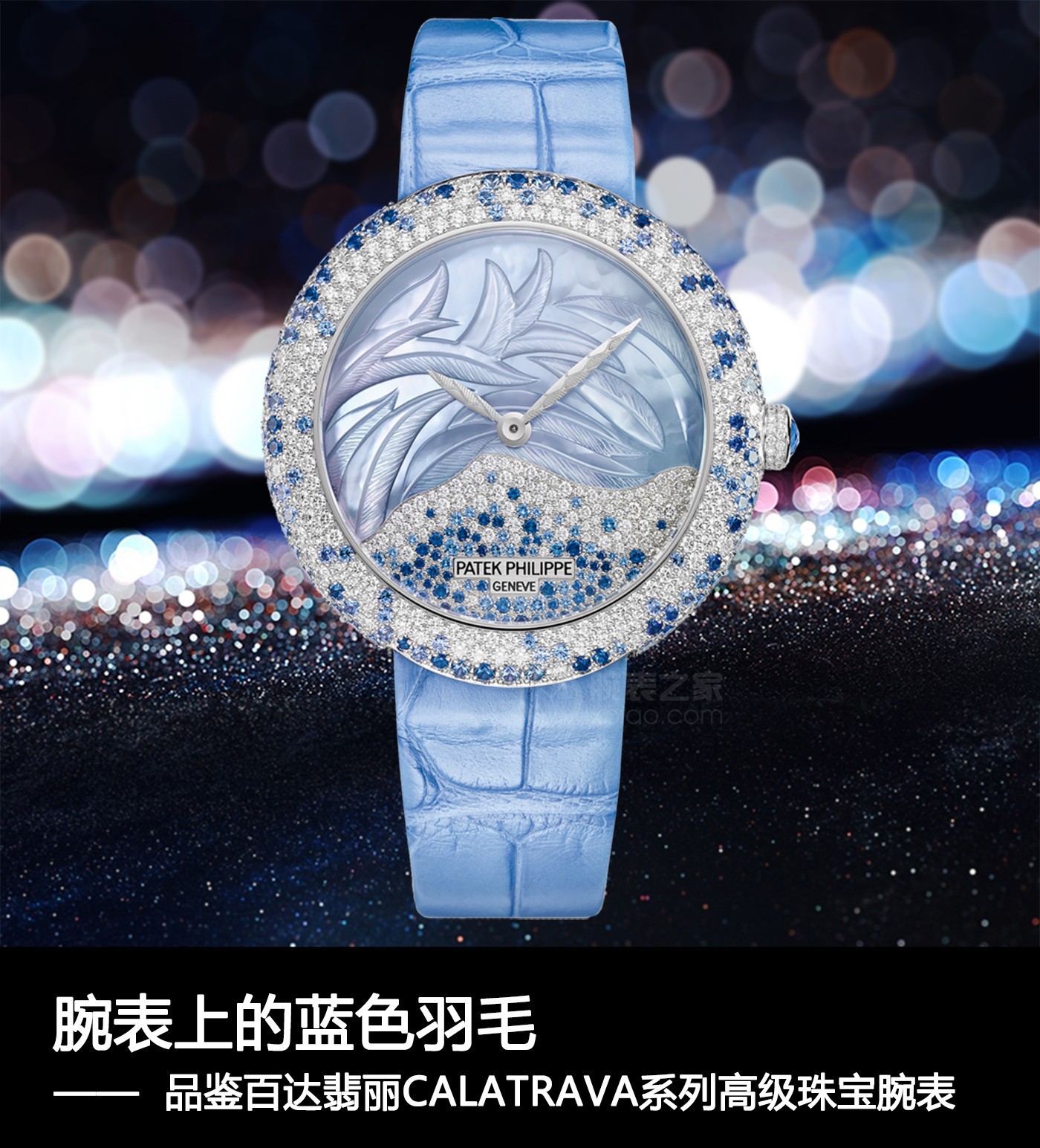 {实时热点}腕表上的蓝色羽毛 品鉴百达翡丽CALATRAVA系列高级珠宝腕表