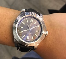 a17313101f1x1