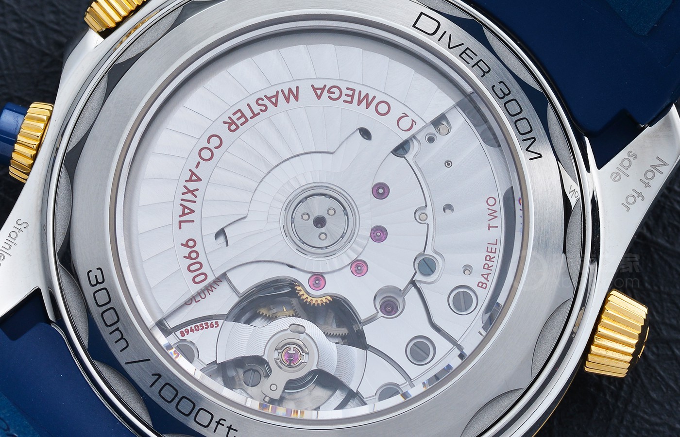 潜水与计时的结合 品鉴欧米茄海马系列全新计时腕表