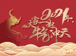 2021，大家一起牛气冲天！