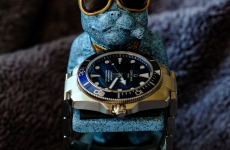 小藍龜與夏天很搭  雪鐵納潛水元素