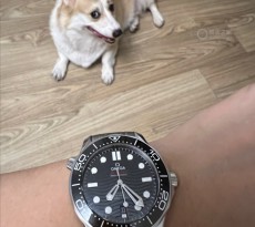 上手實物更加驚艷  入手歐米茄海馬黑盤