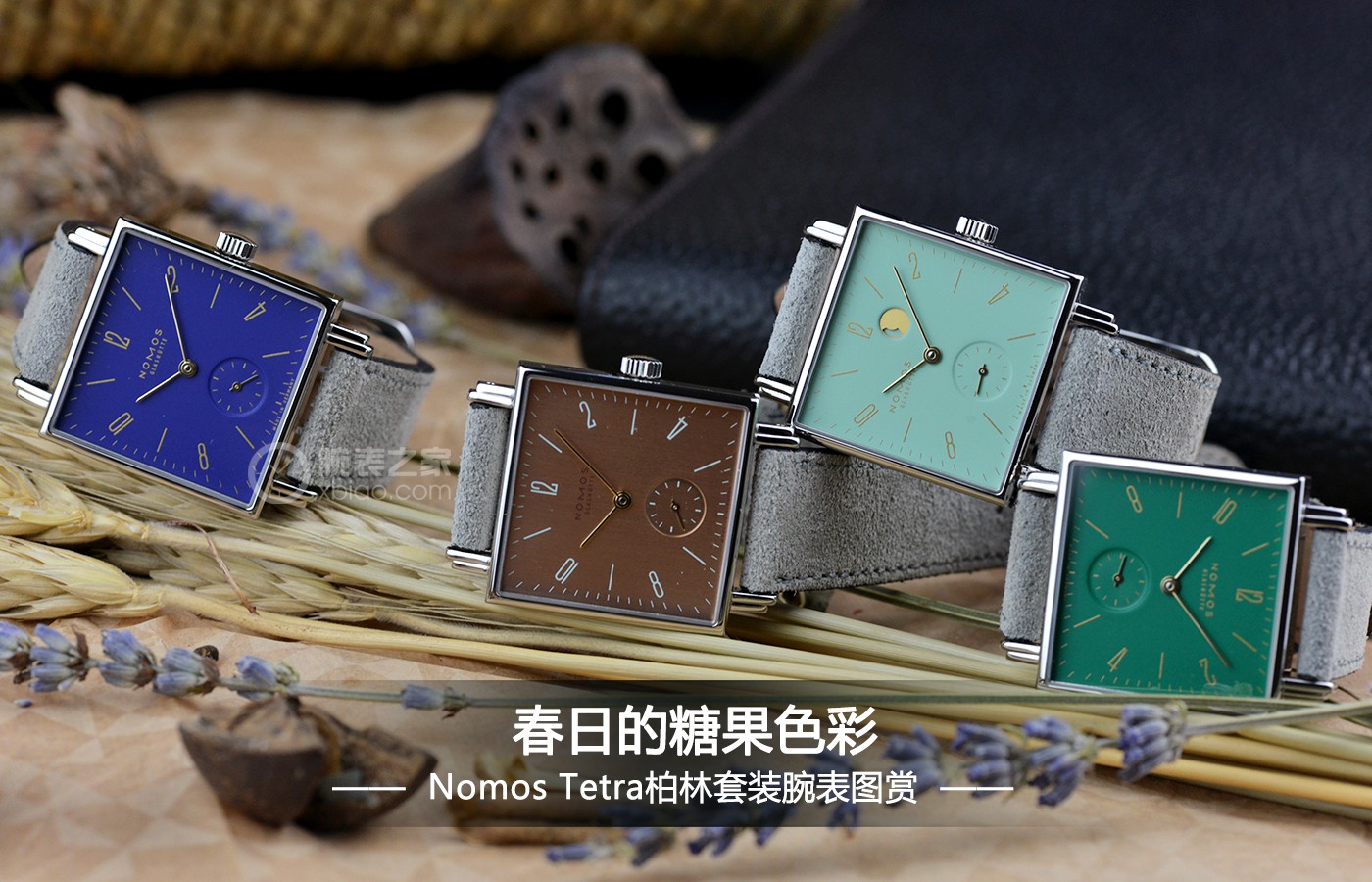 春日的糖果色彩 nomos tetra柏林套装腕表图赏