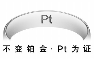 铂金表壳