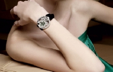 卡地亚浣熊装饰手表