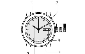 教你如何设置美度模拟手表上弦、时间和日期