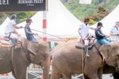 爱彼第12届国王杯大象马球锦标赛在泰国华欣举行