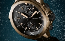 水下青铜器 品鉴万国“达尔文探险之旅”特别版腕表