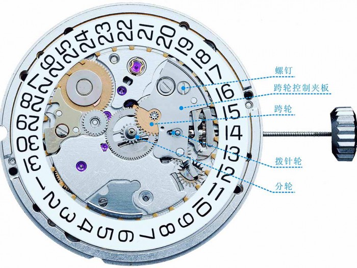 手表内部结构图解图片
