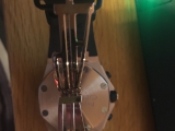 等到吐血的金爱彼皇家橡树离岸型
