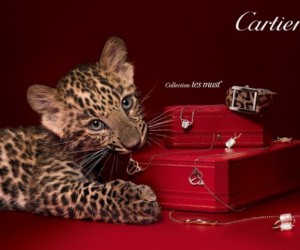 Cartier是什么意思，卡地亚是什么品牌