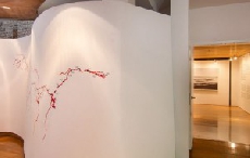 SWATCH在上海斯沃琪和平饭店艺术中心呈现艺术家王岩的“母亲河”展览