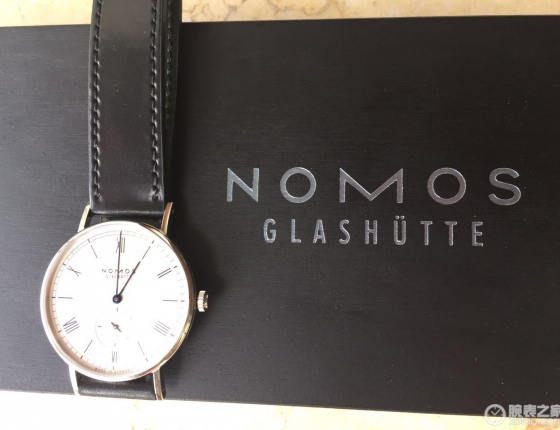 喜欢它的严谨低调 NOMOSLUDWIG