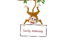 2016 谁是你的lucky monkey？