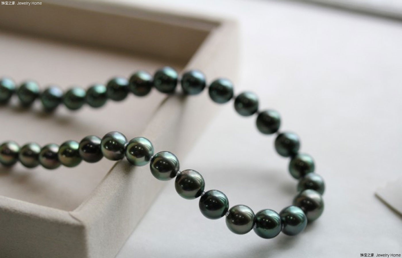 黑珍珠项链价格是多少 尊贵气质无限魅力