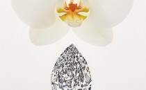 A DIAMOND IS FOREVER 戴比尔斯的钻石秘密