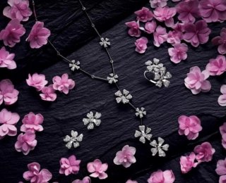  DE BEERS  WILD FLOWER 纯美珠宝唯美盛放