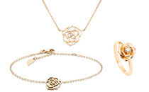 Piaget Rose伯爵玫瑰陪你绽放柔情七夕