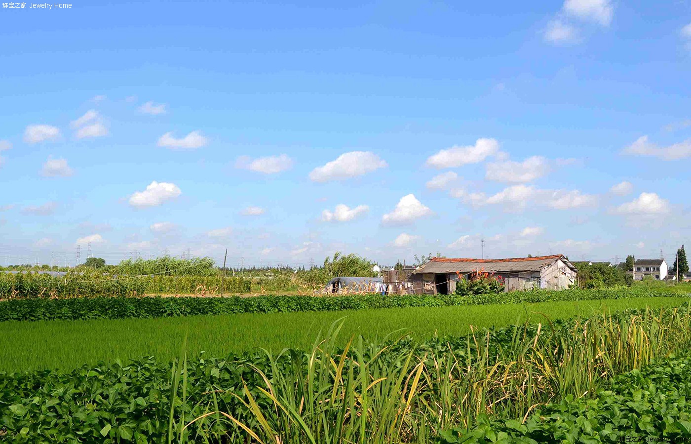 除了麦田和枫叶，小长假里还要看看爽朗的蓝天（一）