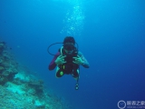 海底兩萬里 愛彼皇家橡樹潛水實測