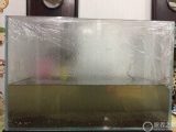 一下子被它简单大气打动 入手欧米茄蓝海马