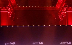 斯嘉丽·约翰逊和多纳泰拉·范思哲于amfAR纽约灵感晚宴荣膺嘉奖