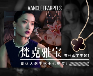 梵克雅宝究竟有什么了不起？竟让人剁手吃土也要买！