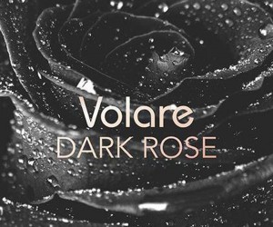 獨一無二的愛情 KLASSE14全新Volare系列Dark Rose腕表
