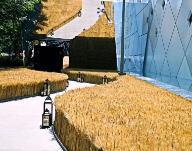 就在时髦的上海竟也体会了一把麦穗地里的自然风情