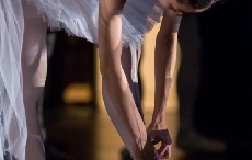 用艺术诠释“腕”美 艾米龙以芭蕾为灵感推出新款—7月优雅上市
