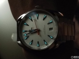 趁着合适的机会拿下 购入海马AQUA TERRA 150白盘橙针