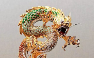 我在帕玛强尼见到一条龙