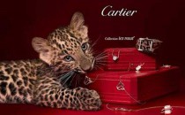 卡地亚Panthère de cartier系列戒指介绍 卡地亚豹子戒指多少钱