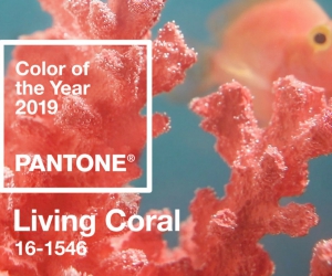 2019年度流行色——珊瑚橙，珠寶設計師們準備好了嗎？