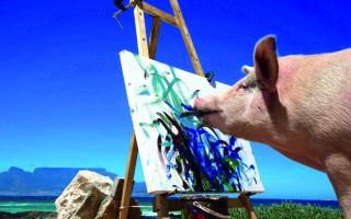 天才猪画家（SWINE DIVINE）- 斯沃琪携手天才画家猪加索推出全新腕表系列