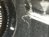 显微镜下一切大不同 浪琴名匠清晰到了极致