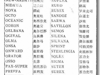 十大名表，一类一等